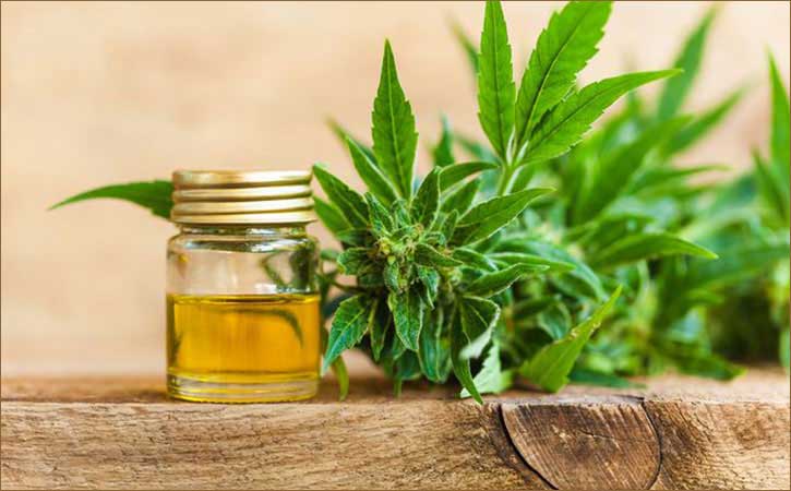 HEMP-OIL-CAPITAL-INVESTMENT